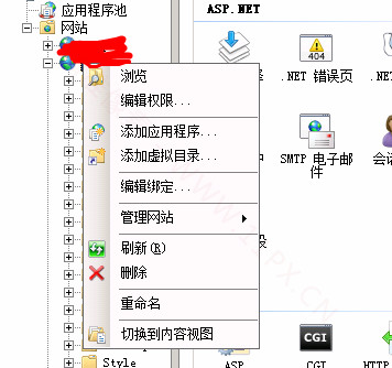 IIS多个协议