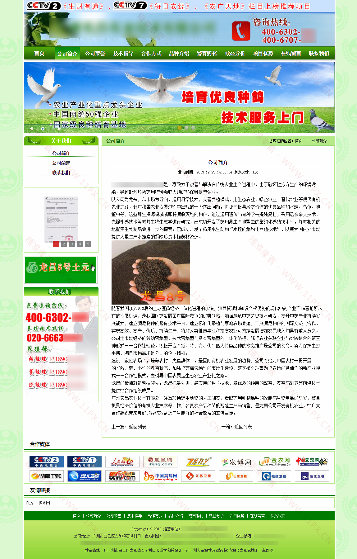 内容页