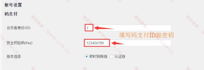 WordPress码支付 支付下载 付费阅读插件 WordPress码支付 支付下载 付费阅读插件