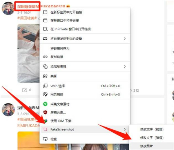 FackScreenshot网页内容随便修改插件 FackScreenshot网页内容随便修改插件